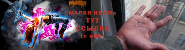 СК Инта