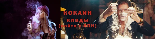 кокс Каменка