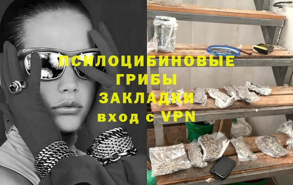 ешки Каменногорск