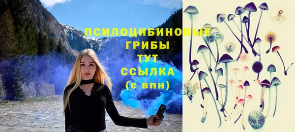 кокс Каменка