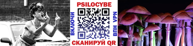 Псилоцибиновые грибы прущие грибы  Купить закладки  Сураж 