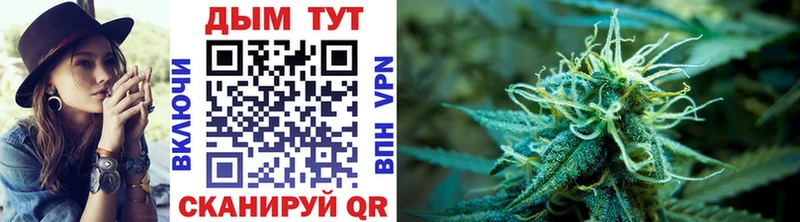Каннабис индика Купить где Сураж